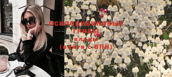 твердый Инсар