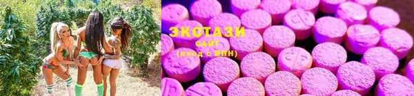 прущие крисы Зерноград