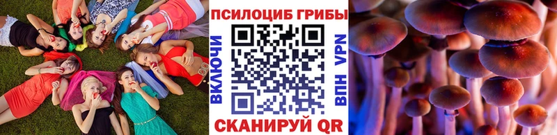 цена наркотик  Каменск-Шахтинский  Псилоцибиновые грибы Psilocybe 