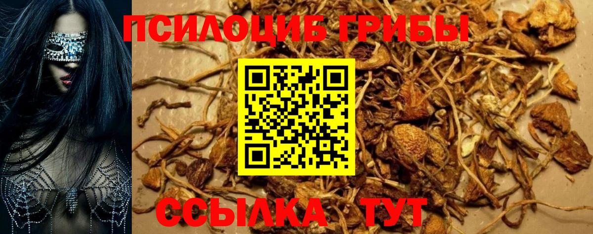 Псилоцибиновые грибы Magic Shrooms Каменск-Шахтинский