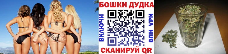 купить наркотик  Каменск-Шахтинский  MEGA зеркало  Каннабис гибрид 