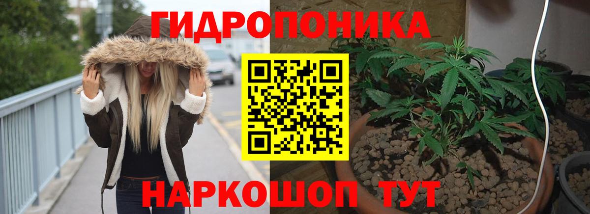 Каннабис конопля Каменск-Шахтинский